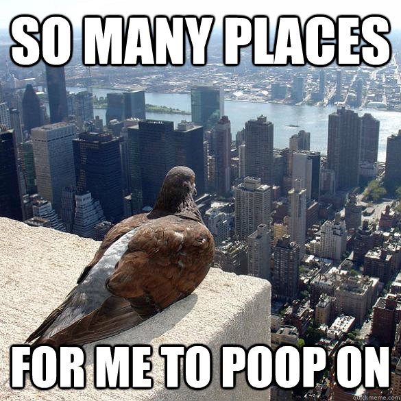 funny poop memes 6