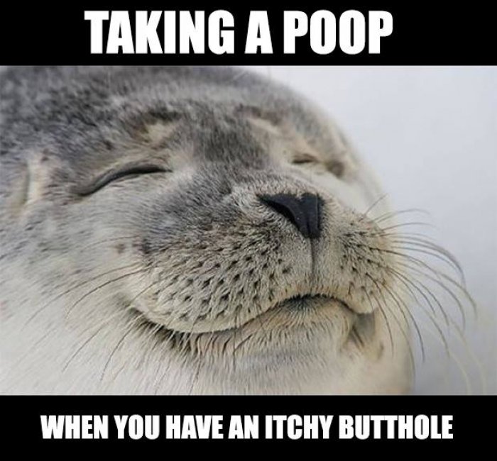 Funny poop memes collection - Because pooping is all that matters!