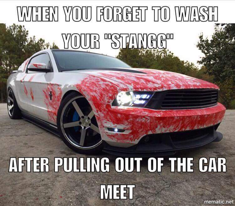As you go on the net searching for Mustang memes