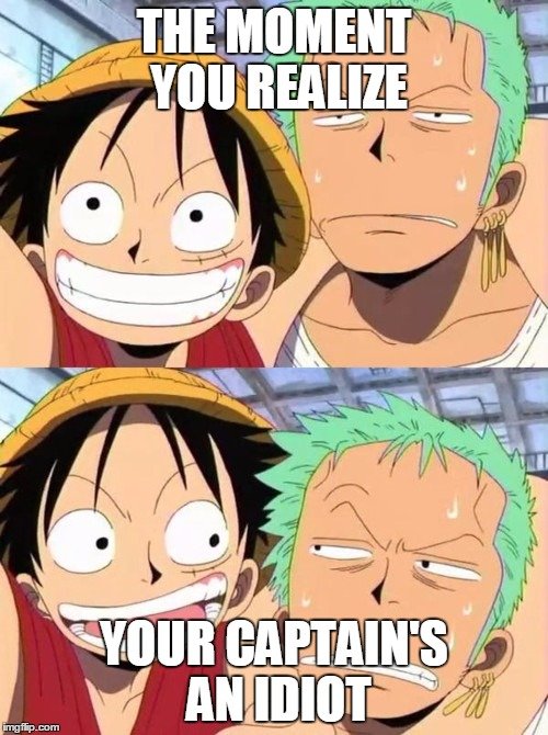 one piece memes 16