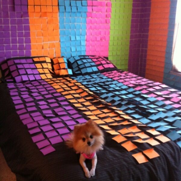 6a46751298b6400686632a7994178c8c–camping-pranks-fun-pranks