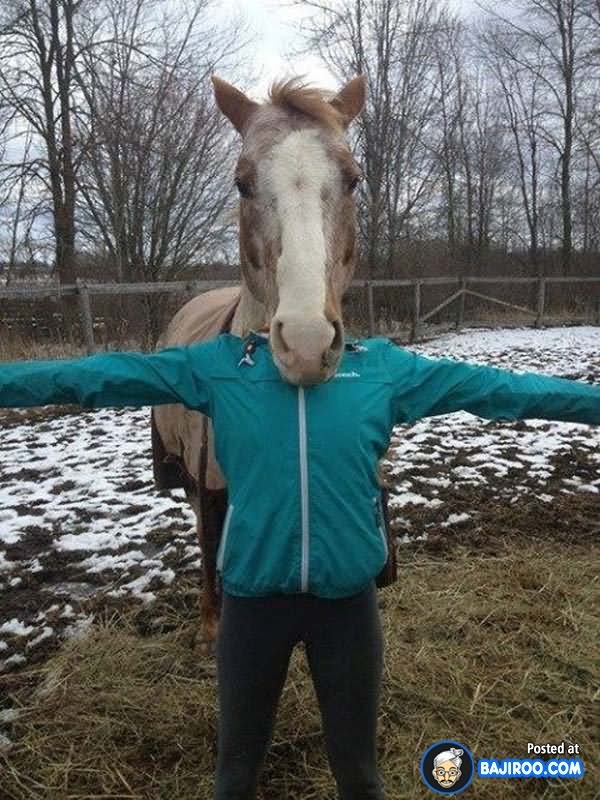 facebook funny pictures 12