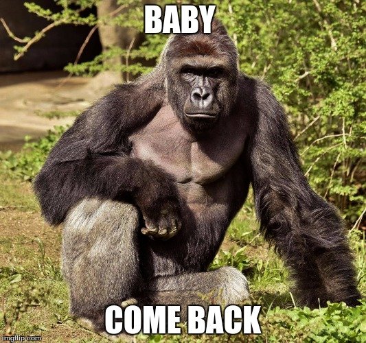 baby come back memes