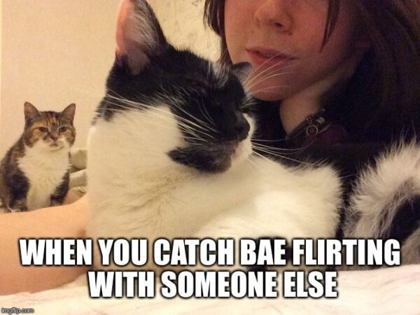flirt memes
