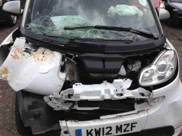 white front bumper wrecked smart car