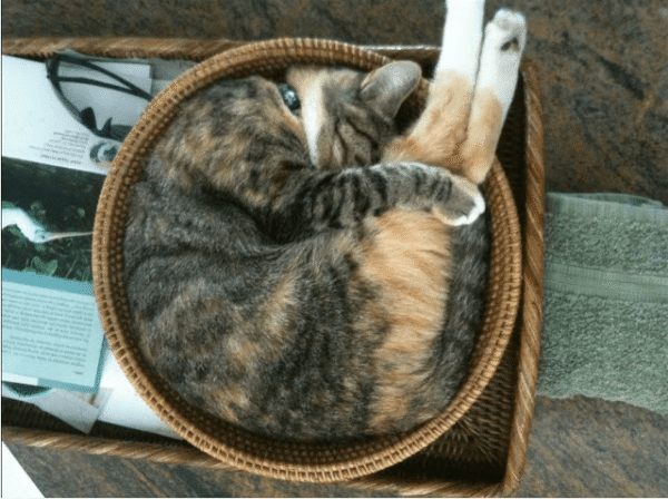 funny sleeping pictures