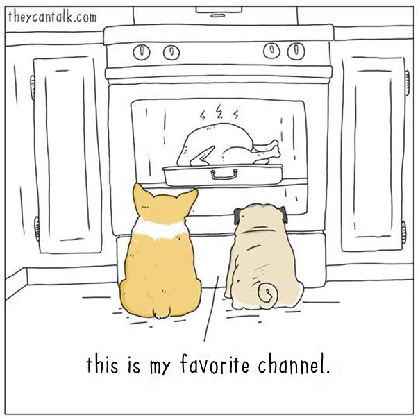 cats-dogs-comics-they-can-talk-jimmy-craig-10-5a7196269eee7__605