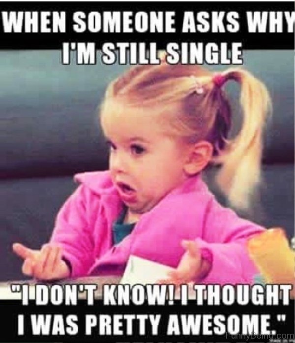 30+ funny memes about being single if you are alone on ...