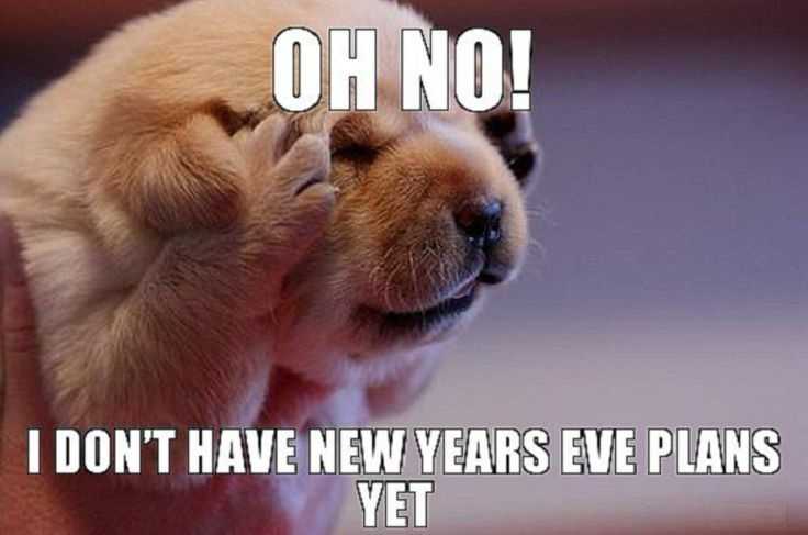funny new year memes