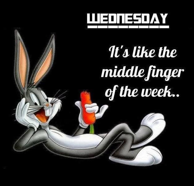funny wednesday quotes