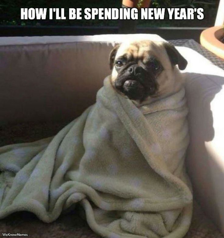funny happy new year memes - lazy