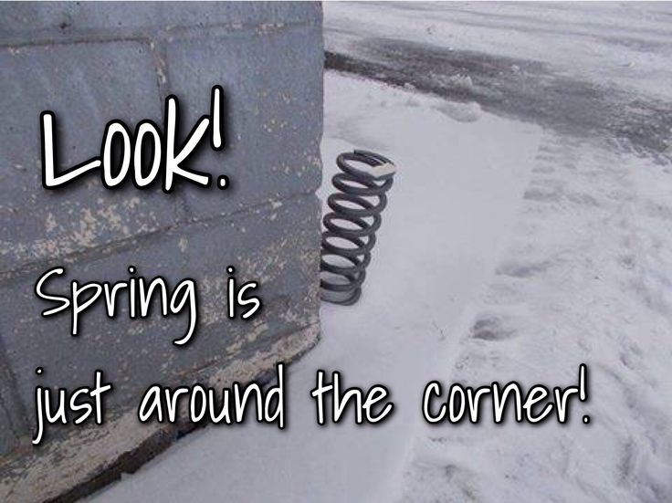 Spring is Around the Corner