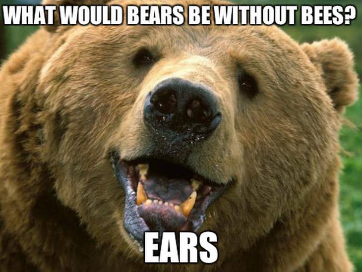 Bears without Bees