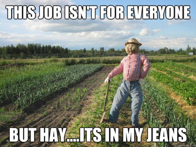 Hay… It’s in my Jeans