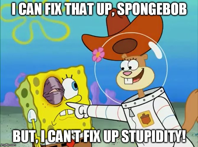 I cant fix Stupidity