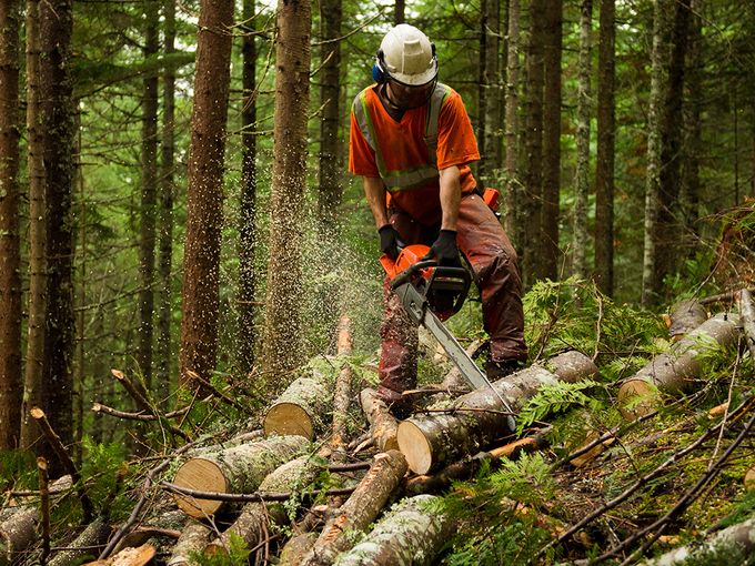 Logging workers