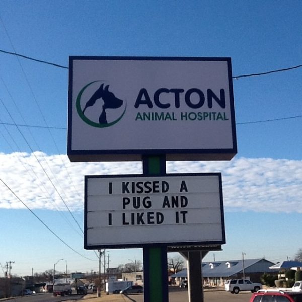 30+ funny vet clinic names and signs which are ridiculously amusing!