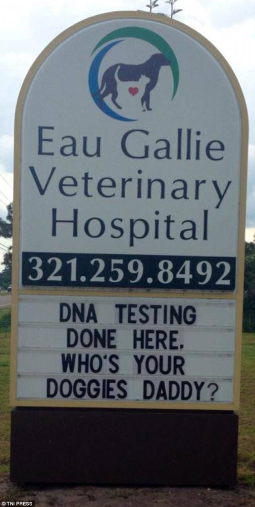 30+ funny vet clinic names and signs which are ridiculously amusing!