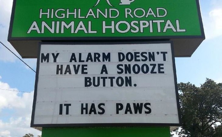 30 Funny Vet Clinic Names And Signs Which Are