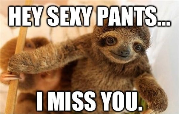 I miss you sexy pants