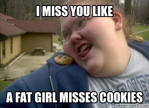 I miss you like fat girl misses cookies