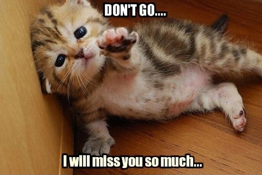 Don't go - I miss you so much!