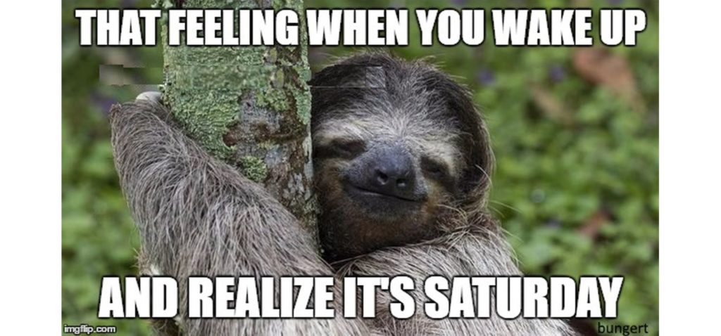 It's Saturday - Sloth