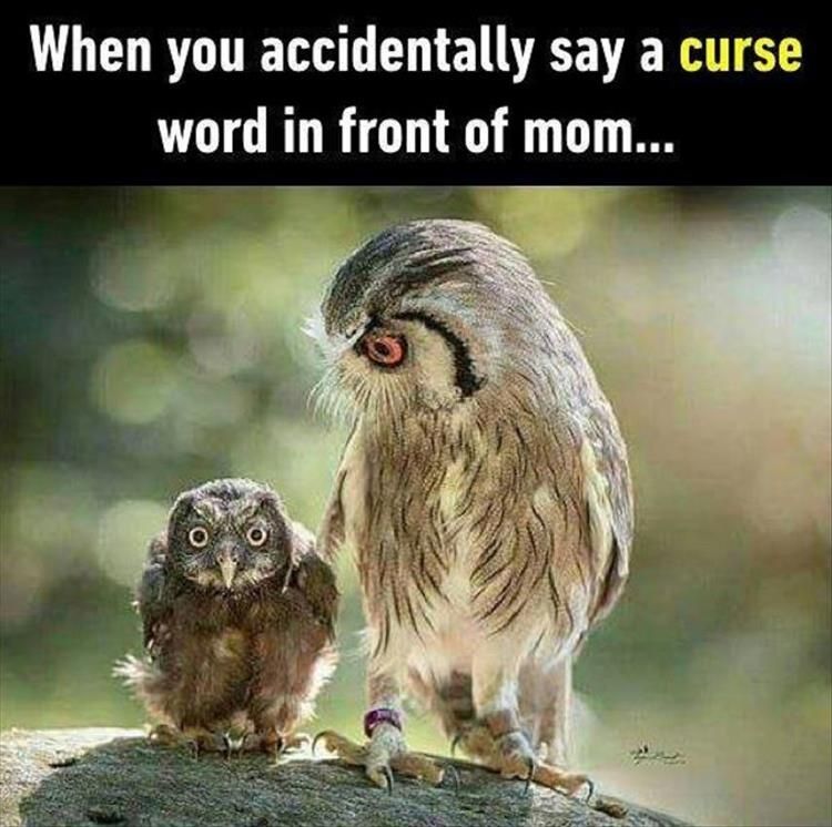 cursing accidentally in front of mum