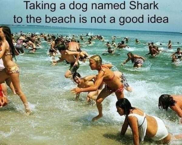 Funny humor images, Funny of the day images, Funny meme picture, Funny images and jokes, Daily funny images, Comic funny picture,