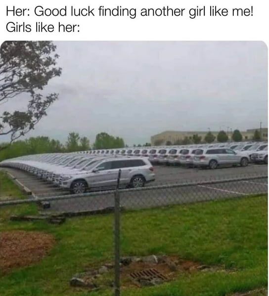 Funny and humorous quotes