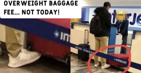Funny image of the day