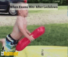 Funny gif pictures