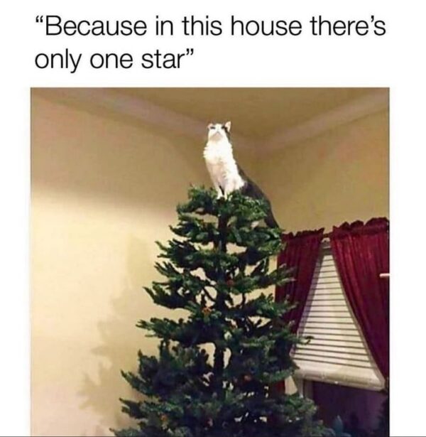 Funny image of the day