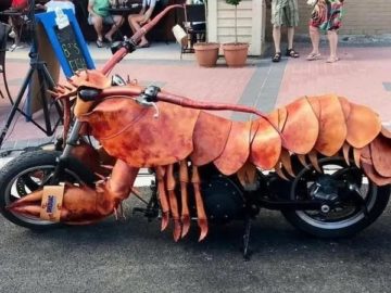 Want to ride the lobster